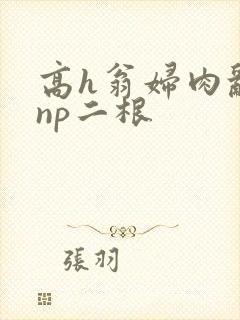 高h翁妇肉乱文np二根
