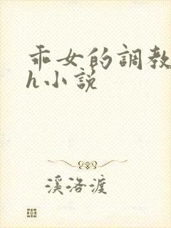 乖女的调教日常h小说