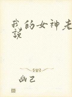 我的女神老婆小说