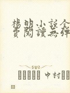 杨明小说全文免费阅读无弹窗封面