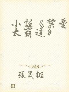 小说《禁爱总裁太霸道》