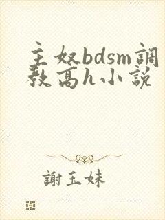 主奴bdsm调教高h小说