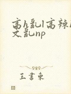 高h乱l高辣h文乱np
