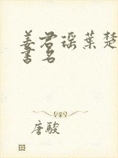 姜君瑶叶楚小说书名