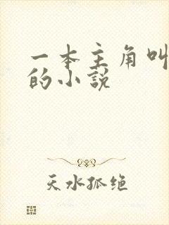 一本主角叫林凡的小说封面