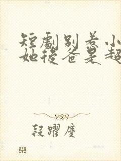 短剧别惹小小姐她后爸是超级女儿奴