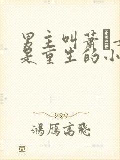 男主叫萧玦女主是重生的小说