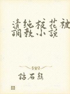 清纯校花被地狱调教小说