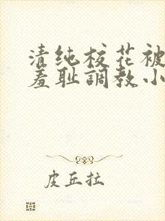 清纯校花被民工羞耻调教小说