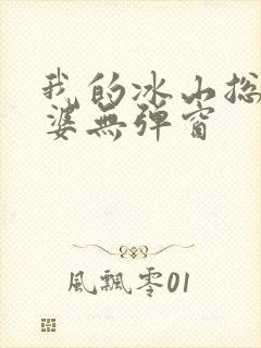 我的冰山总裁老婆无弹窗