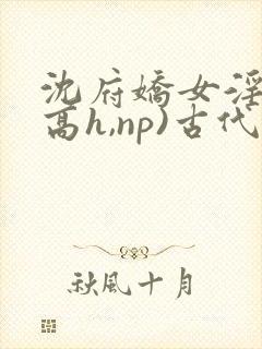 沈府娇女淫史(高h,np)古代