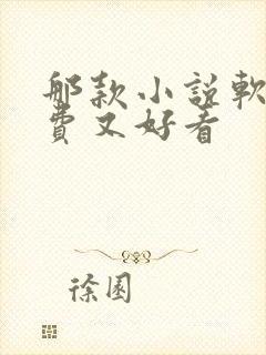 那款小说软件免费又好看封面