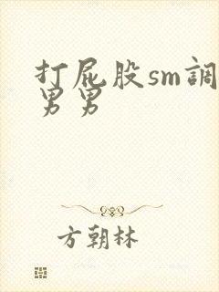 打屁股sm调教男男