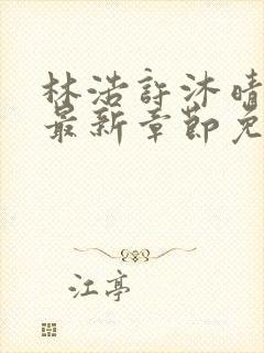 林浩许沐晴小说最新章节免费阅读全文封面