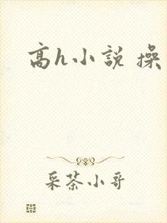 高h小说 操穴封面