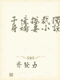 千亿总裁独宠替身娇妻小说完整