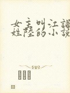 女主叫江诺男主姓陆的小说