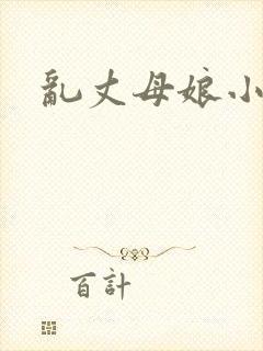 乱丈母娘小说封面