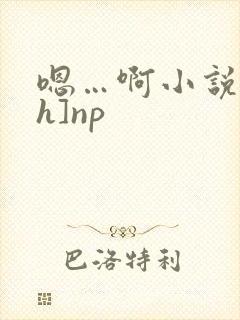 嗯…啊小说[高h]np
