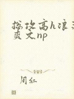 总攻高h浪荡肉爽文np