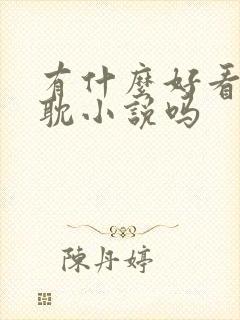 有什么好看的原耽小说吗封面