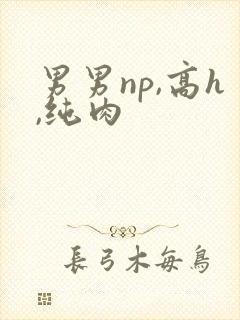 男男np,高h,纯肉