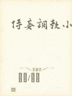 侍妾调教小说封面