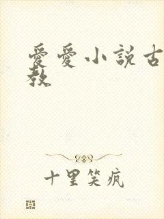 爱爱小说古代调教