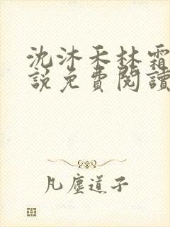 沈沐禾林霜华小说免费阅读