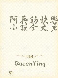 阿兵的快乐日记小说全文免费笔趣阁封面