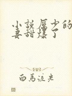 小说厉少的小娇妻甜爆了封面