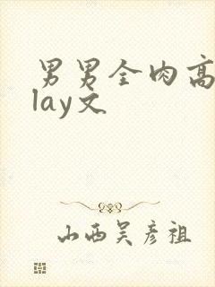 男男全肉高hplay文