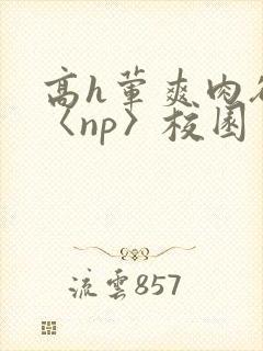 高h荤爽肉欲文〈np〉校园