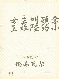 女主叫顾念念男主姓陆的小说