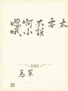 嗯啊不要太大了哦小说