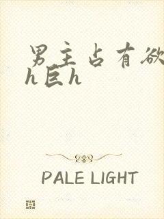 男主占有欲强高h巨h