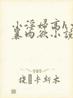 小淫妇高h文黄暴肉欲小说