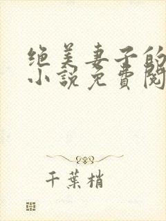 绝美妻子的秘密小说免费阅读