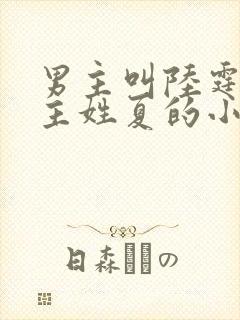 男主叫陆霆琛女主姓夏的小说