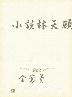 小说林天顾悦瑶封面