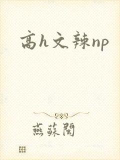 高h文辣np