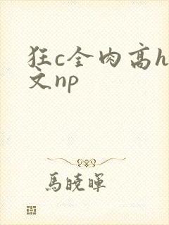 狂c全肉高h辣文np