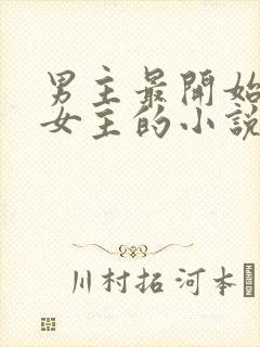 男主最开始讨厌女主的小说封面