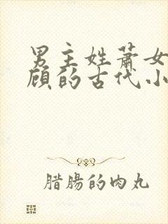 男主姓萧女主姓顾的古代小说封面