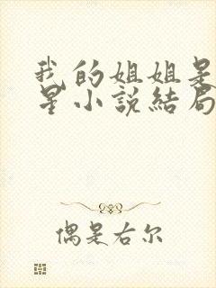 我的姐姐是大明星小说结局