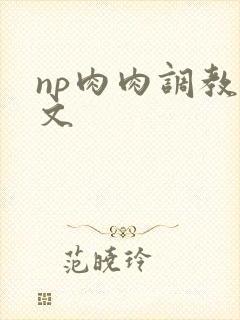 np肉肉调教辣文