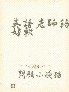 英语老师的兔子好软