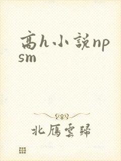 高h小说np sm