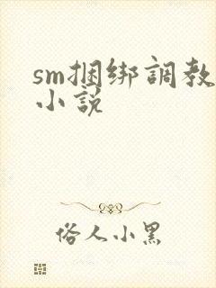 sm捆绑调教女小说封面