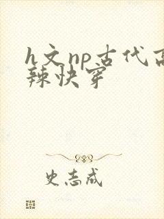 h文np古代高辣快穿